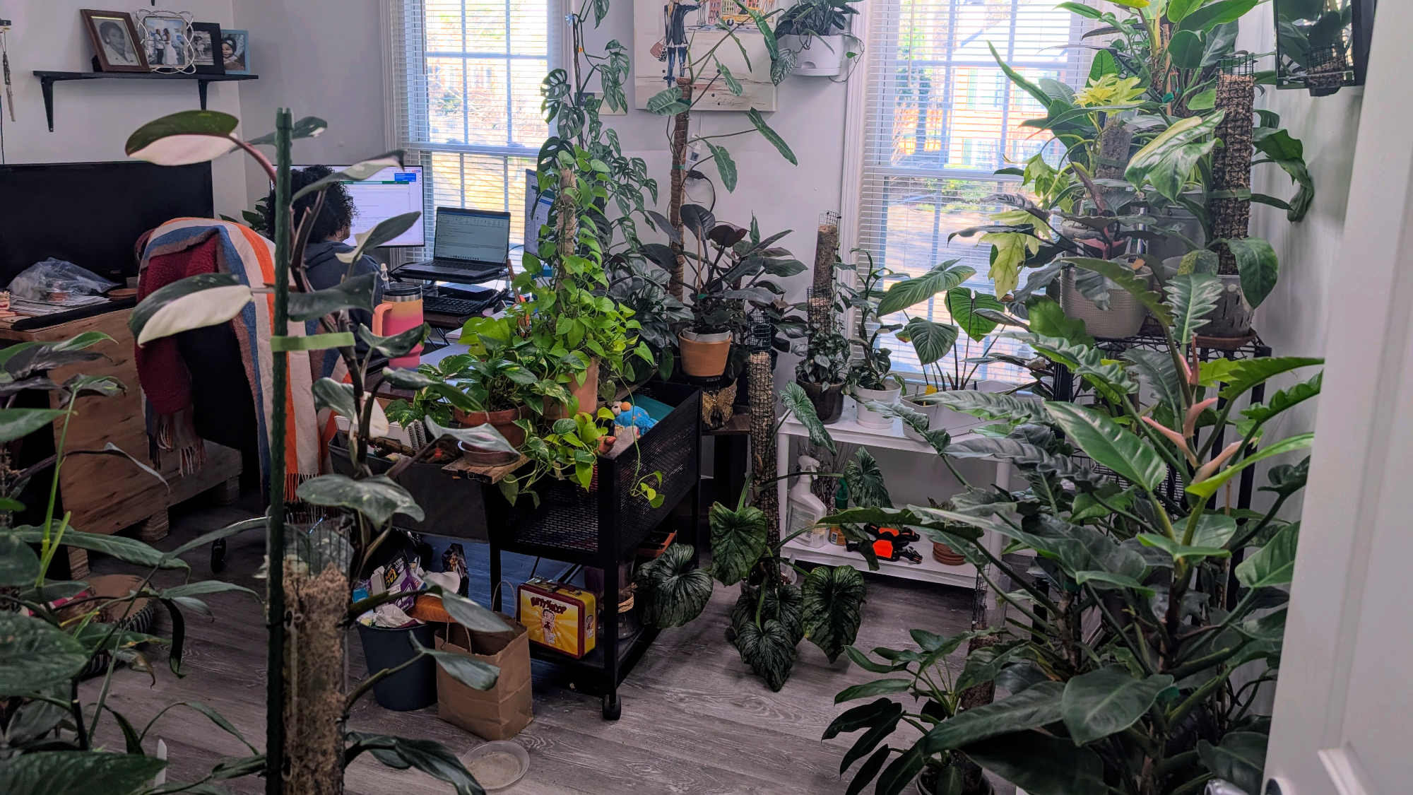 Balancing a Full-Time Desk Job with the Joy (and Challenge) of