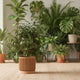 Modern Ribbed Planter with Drip Tray