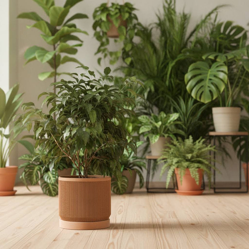 Modern Ribbed Planter with Drip Tray
