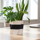 GEOMETRIC SPiRIL PLANTER-cachepot